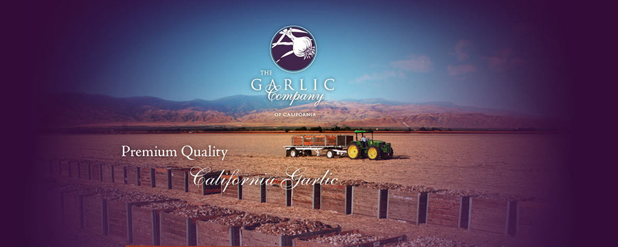 The Garlic Company The Garlic Company